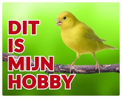 Kanarie Waakbord - Dit is mijn hobby Geel Kanarie Waakbord - Dit is mijn hobby Geel