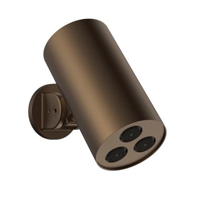 Hoofddouche BWS Sensa Cilinder Muur Geborsteld Brons PVD Hoofddouche BWS Sensa Cilinder Muur Geborsteld Brons PVD