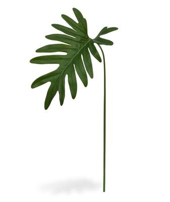 Philo Xanadu blad 55 cm