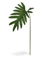 Philo Xanadu blad 55 cm