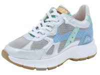 Floris Van Bommel Daysi 05.04