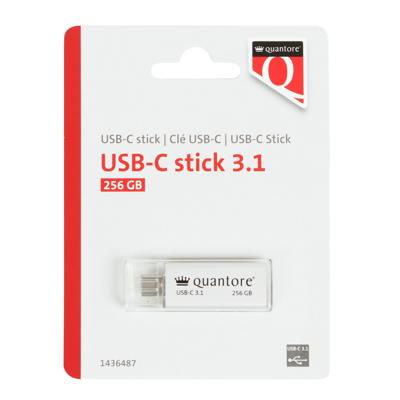 USB-stick Quantore USB-C 256GB 3.1 zilver | 400 stuks USB-stick Quantore USB-C 256GB 3.1 zilver | 400 stuks