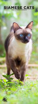 Siamees Slimline Kalender 2026