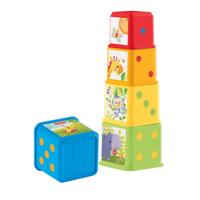 Fisher-Price Stapel & Ontdek blokken