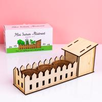 Kruidentuintje Voor In Huis Kruidentuintje Voor In Huis