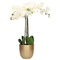 Orchidee kunstplant wit - 75 cm - inclusief bloempot goud glans - thumbnail