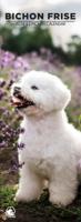 Bichon Frise Slimline Kalender 2026