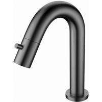 RVS Gunmetal Grijze Fonteinkraan voor Koudwater met PVD-coating