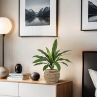 Asplenium Antiquum Kunstvaren 40cm