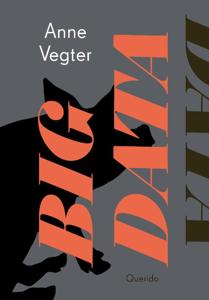 Big data (Paperback)
