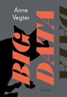 Big data (Paperback)