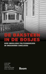 De baksteen in de bosjes (Paperback)