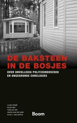 De baksteen in de bosjes (Paperback)