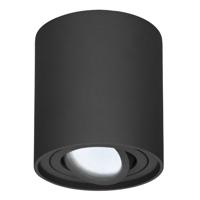 Ronde LED Opbouwspot Ray - 4 Watt 345 Lumen - 6500K daglicht wit - Kantelbaar - GU10 - Opbouwspot - IP20 Voor binnen - Zwart - Dimbaar