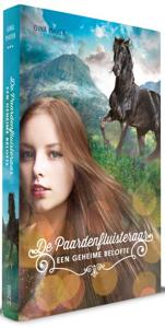 Een geheime belofte (Hardback)
