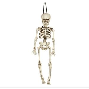 Horror/halloween decoratie skelet/geraamte pop - hangend - 40 cm