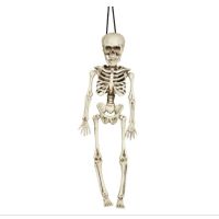 Horror/halloween decoratie skelet/geraamte pop - hangend - 40 cm - thumbnail