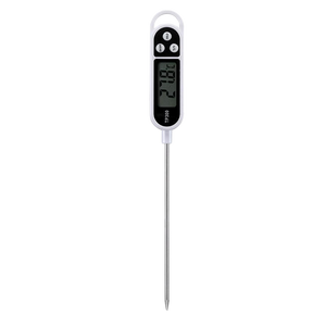 Digitale Thermometer Zilver