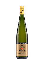 Trimbach Gewürztraminer Seigneur de Ribeaupierre | Witte wijn | Frankrijk | Gratis verzending v.a. 6 flessen