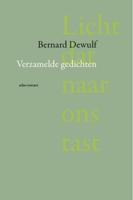 Licht dat naar ons tast (Paperback)