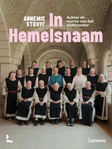 In Hemelsnaam - Annemie Struyf - ebook