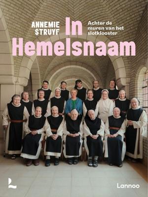 In Hemelsnaam - Annemie Struyf - ebook