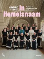 In Hemelsnaam - Annemie Struyf - ebook