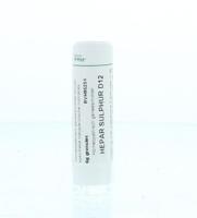 Homeoden Heel Hepar sulphur D12 6 Gram