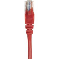 Intellinet 739801 RJ45 Netwerkkabel, patchkabel CAT 6 S/FTP 0.25 m Rood Folie afscherming, Afscherming gevlochten, Halogeenvrij 1 stuk(s) - thumbnail