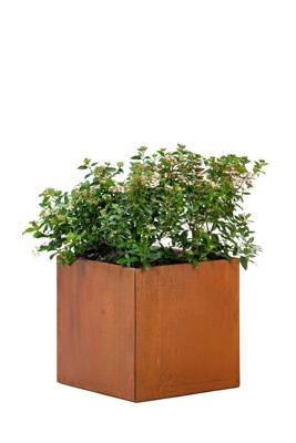Bloembak Hudson klein 50x50x50 cm Tuindeco - Tuindeco