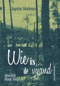 Wie is de vijand GLB (Paperback)