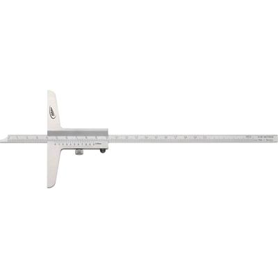 HELIOS PREISSER DIN 862 0282505 Diepteschuifmaat 300