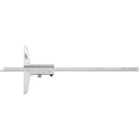 HELIOS PREISSER DIN 862 0282505 Diepteschuifmaat 300