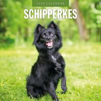 Schipperke Kalender 2026