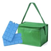 Strand sixpack mini koeltasje groen inclusief 2 koelelementen - Koeltas - thumbnail