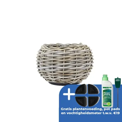 Drypot tina rotan d29h19cm grijs Drypot tina rotan d29h19cm grijs