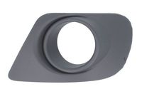 Ventilatiegrille, bumper 6502072050916P