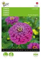 Zaden zinnia lavendel 25 zaden - Buzzy