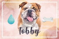 Bulldog water en voer vinyl tapijt Bulldog water en voer vinyl tapijt