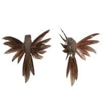 Kolibrie vogels op clip - 2x st - bruin - 12 x 13 x 7,5 cm -kunststof - decoratie