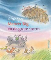 Meneer Big en de grote storm (Hardback)