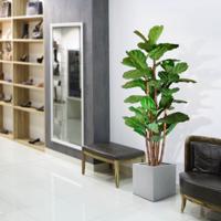 Lyrata deluxe kunstboom 165cm