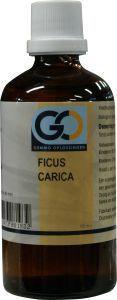 GO Ficus carica bio