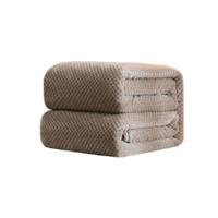 Verdiken effen kleur mesh ananas Flanel deken koraal fleece airconditioning sofa cover winter warme lakens gemakkelijk wassen Faux Fur dekens grootte