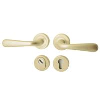Hardbrass Achterdeurset Silvia compleet SKG*** - PVD champagne goud