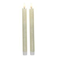 Kaarsen set van 2x stuks Led dinerkaarsen wit 24 cm