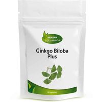 Ginkgo Biloba Plus | 120mg | Vitaminesperpost.nl