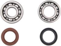 ALL BALLS Racing Crankshaft bearing set ab 24-1072 with simmerrings