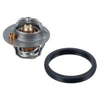 thermostaat 105992