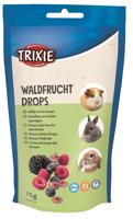 TRIXIE KNAAGDIER DROPS BOSVRUCHTEN